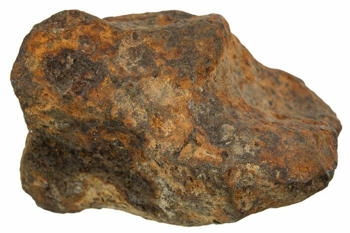 Mundrabilla Iron Meteorite ( g) - Australia #318933